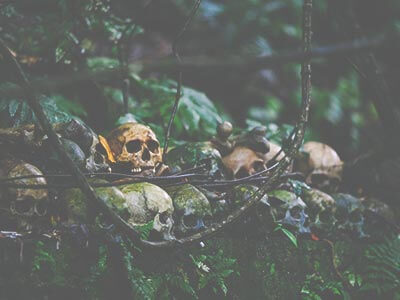 Skulls-B2ctelecom