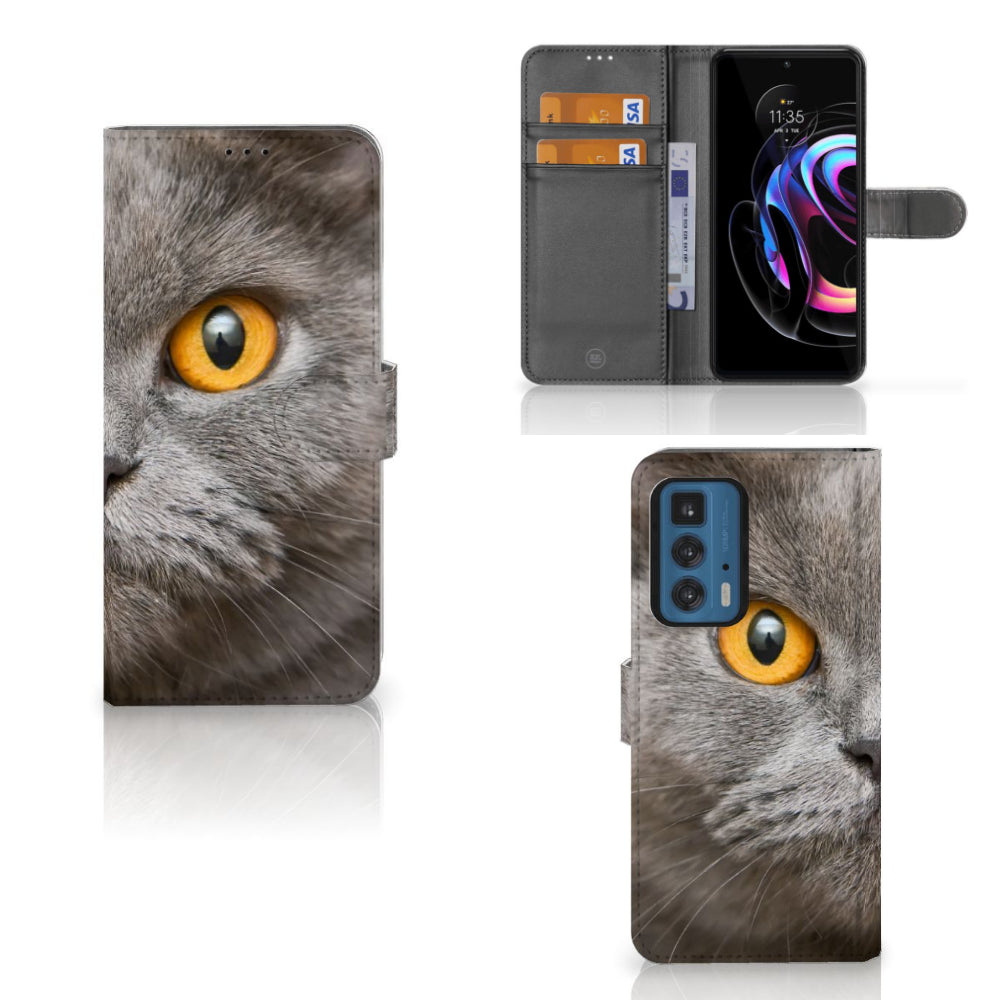 Telefoonhoesje met Pasjes Motorola Edge 20 Pro Britse Korthaar met een close-up van een grijze kat.