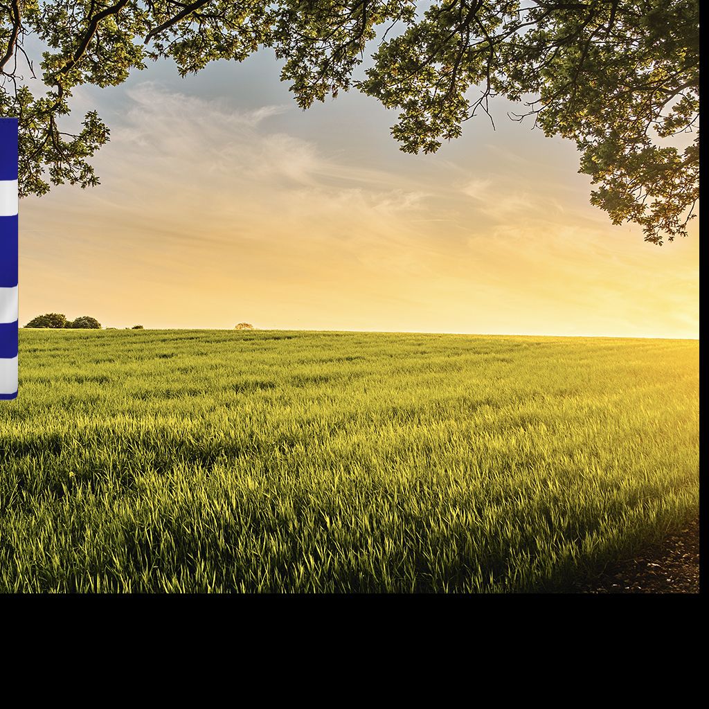 Sony Xperia 10 Plus Standcase Griekenland