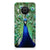 Nokia X10 | X20 TPU Hoesje Pauw