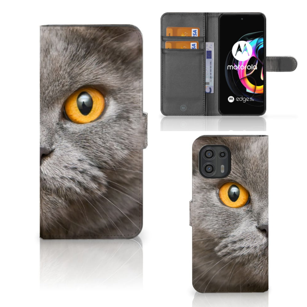 Telefoonhoesje met Pasjes Motorola Edge 20 Lite Britse Korthaar met een afbeelding van een Britse korthaar kat.