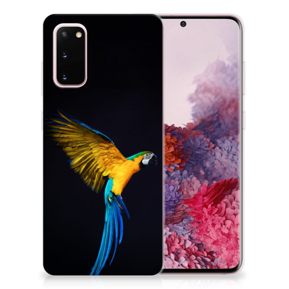 Samsung Galaxy S20 TPU Hoesje Papegaai