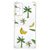 Samsung Galaxy M13 4G | M23 Case Banana Tree B2C Telecom