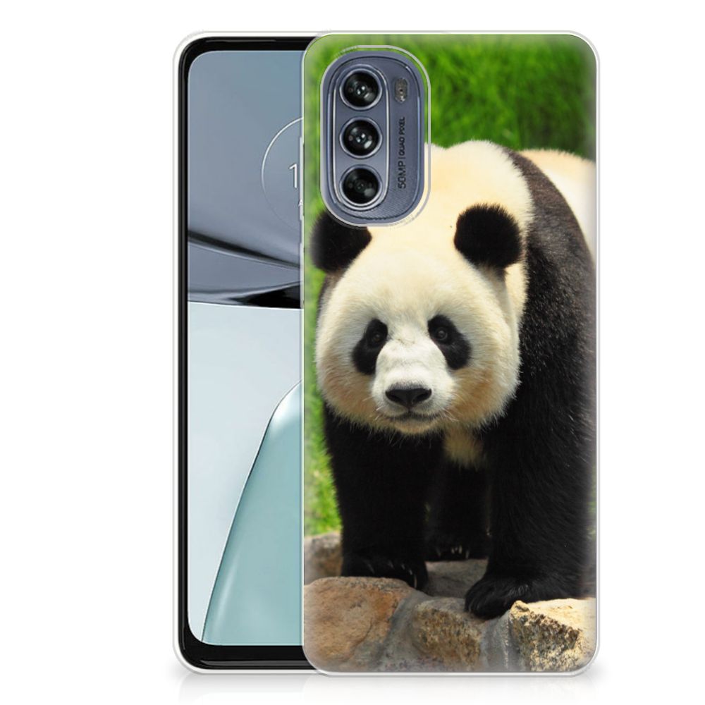 Motorola Moto G62 5G TPU Hoesje Panda