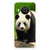 Nokia X10 | X20 TPU Hoesje Panda