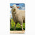 Samsung Galaxy S10e Hoesje maken Schaap en Lammetje