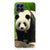 Samsung Galaxy M53 Case Anti-shock Panda B2C Telecom