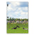 Lenovo Tab 10 | Tab 2 A10-30 Back Case Koeien - B2C Telecom