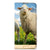 OnePlus Nord 2T Hoesje maken Schaap en Lammetje - B2C Telecom