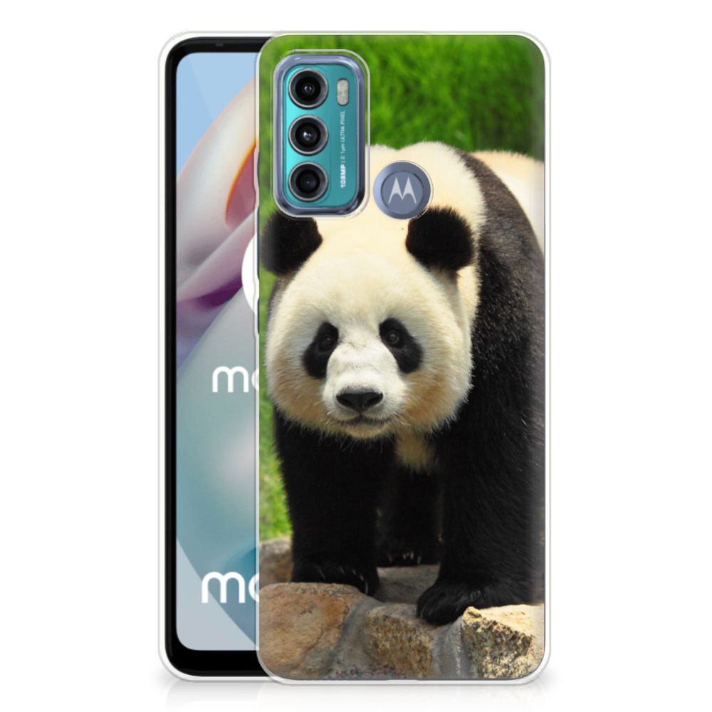 Motorola Moto G60 TPU Hoesje Panda B2C Telecom