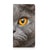 Hoesje maken Samsung Galaxy S23 Plus Britse Korthaar - B2C Telecom