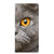 Hoesje maken Samsung Galaxy A33 5G Britse Korthaar - B2C Telecom