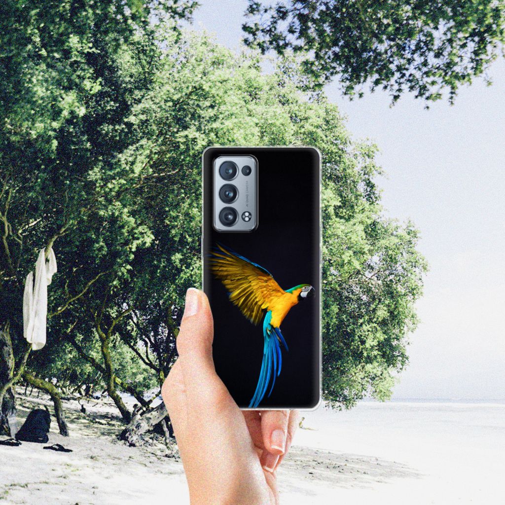 OPPO Reno 6 Pro Plus 5G TPU Hoesje Papegaai B2C Telecom