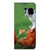 Nokia G50 Hoesje maken Kitten - B2C Telecom