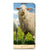 OPPO Reno8 Lite Hoesje maken Schaap en Lammetje - B2C Telecom