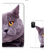 Samsung Galaxy A41 Hoesje maken Kat - B2C Telecom
