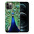 iPhone 12 Pro Max TPU Hoesje Pauw B2C Telecom