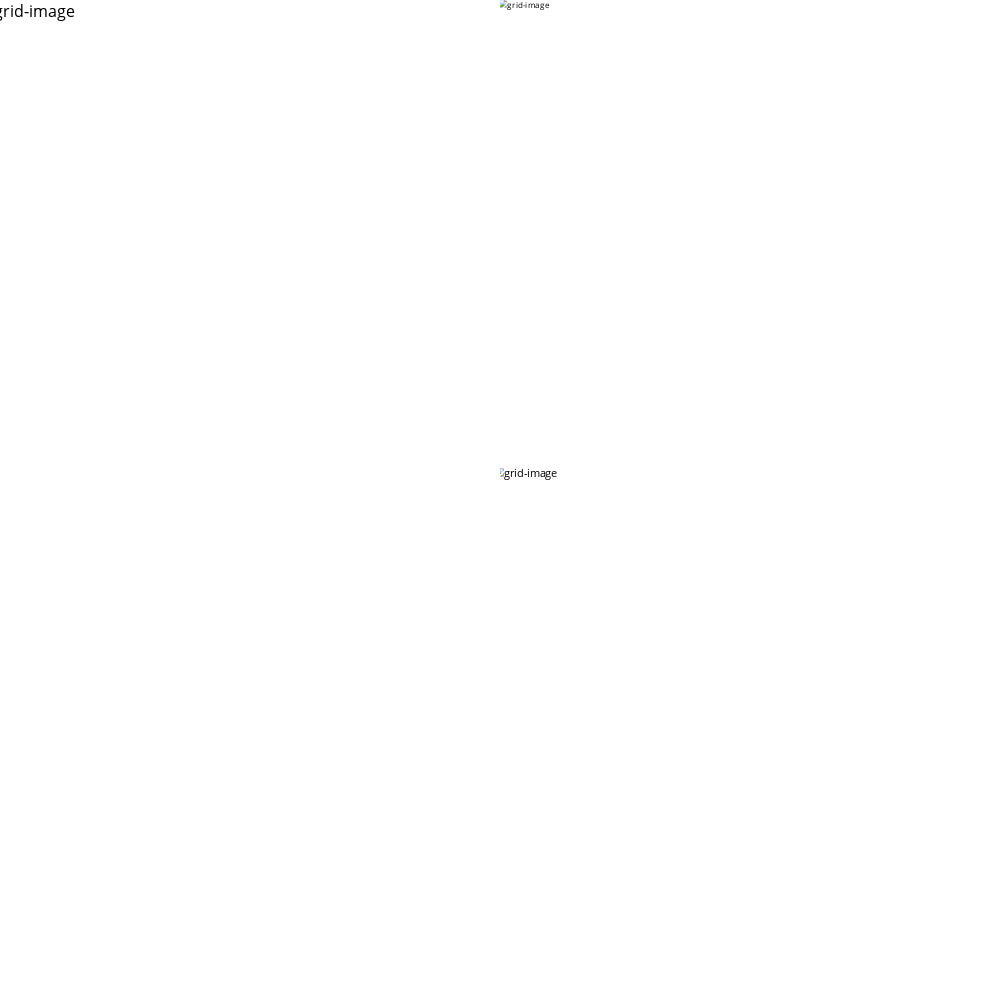 OnePlus 13 Telefoonhoesje met foto Kentekenplaten