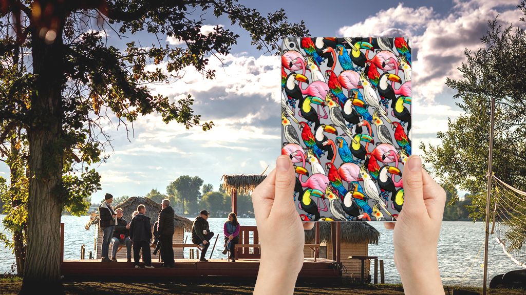 Apple iPad 9.7 2018 | 2017 Back Case Birds