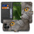 Britse Korthaar Fairphone 6 Magnetisch Bookcase Hoesje design naam voorkant