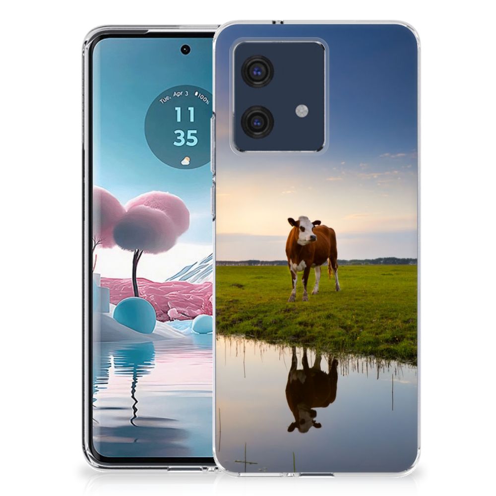 Motorola Edge 40 Neo TPU Hoesje Koe koe ondergang zon water
