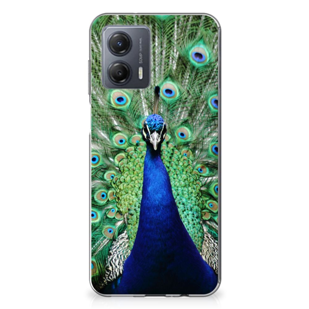 Motorola Moto G53 TPU Hoesje Pauw