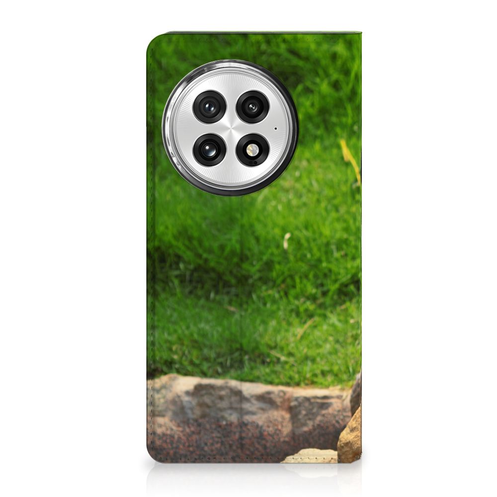 OnePlus 13 Hoesje maken Panda design hoesje aanzicht