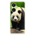 OnePlus Nord CE 3 Lite TPU Hoesje Panda