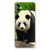 Samsung Galaxy A05 Case Anti-shock Panda B2C Telecom