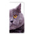 Samsung Galaxy A33 5G Hoesje maken Kat kat paarse kattenprint voorkant