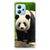 Xiaomi Redmi Note 12 5G Case Anti-shock Panda B2C Telecom