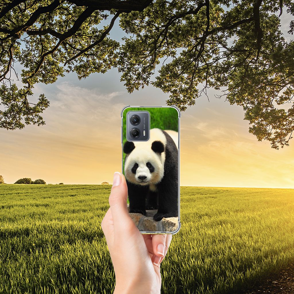 Motorola Moto G53 Case Anti-shock Panda B2C Telecom
