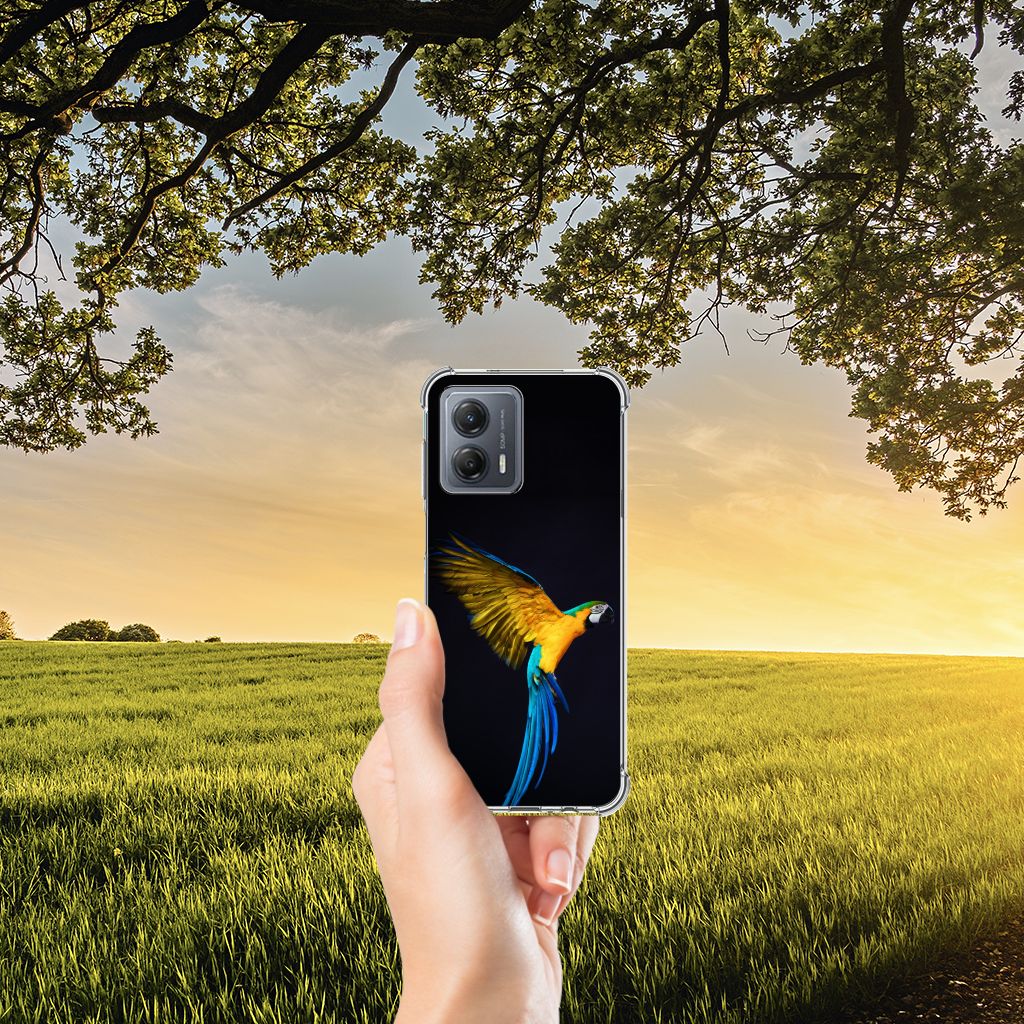 Motorola Moto G53 Case Anti-shock Papegaai B2C Telecom