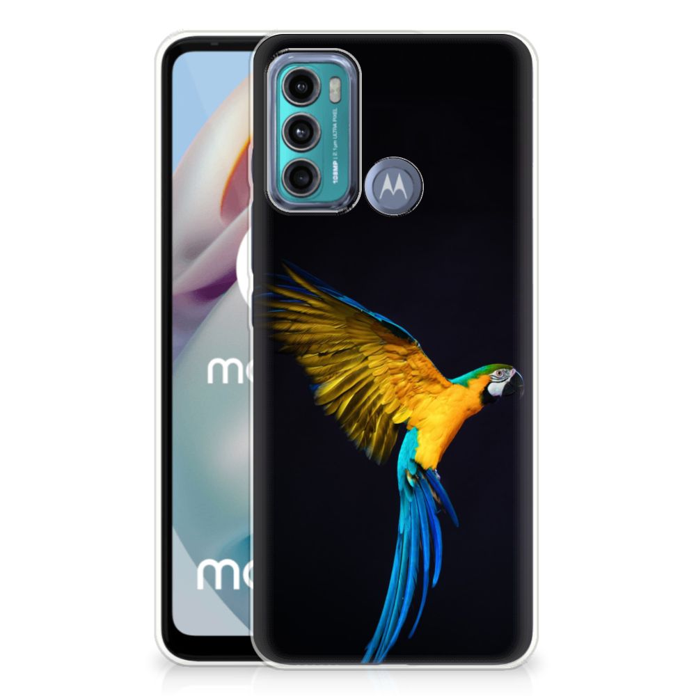 Motorola Moto G60 TPU Hoesje Papegaai