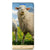 OPPO Reno 6 Pro Plus 5G Hoesje maken Schaap en Lammetje - B2C Telecom