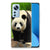 Xiaomi 12 | 12X TPU Hoesje Panda B2C Telecom