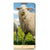 Xiaomi 12 Pro Hoesje maken Schaap en Lammetje - B2C Telecom