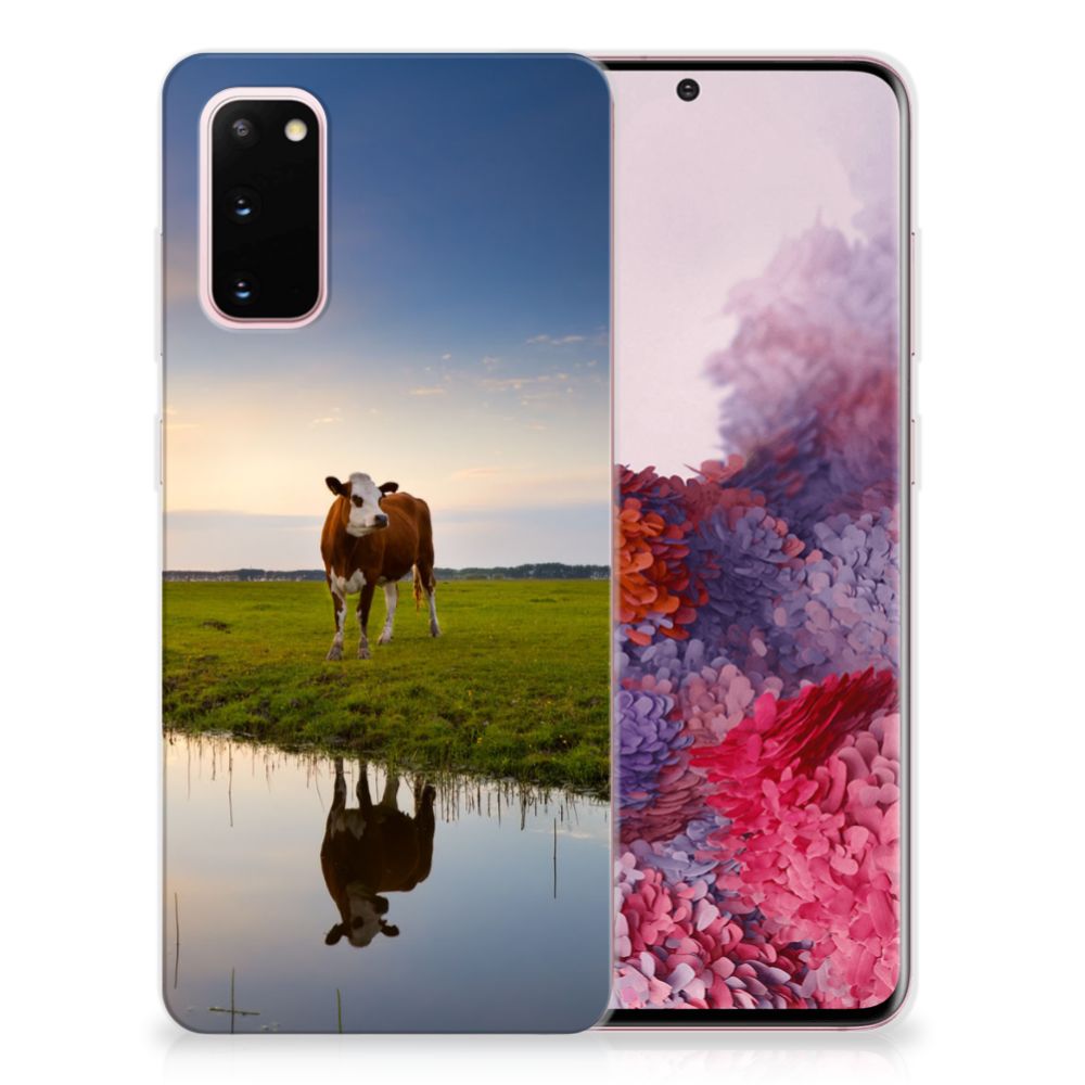 Samsung Galaxy S20 TPU Hoesje Koe