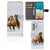 Samsung Galaxy A53 Telefoonhoesje met Pasjes Paarden