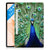 Samsung Galaxy Tab S7FE Back Case Pauw - B2C Telecom