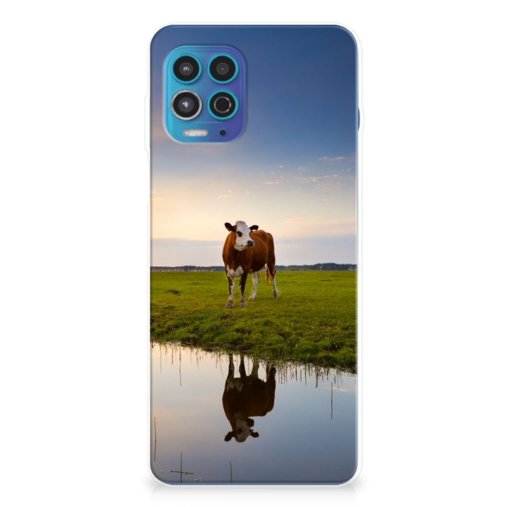 Motorola Moto G100 TPU Hoesje Koe B2C Telecom