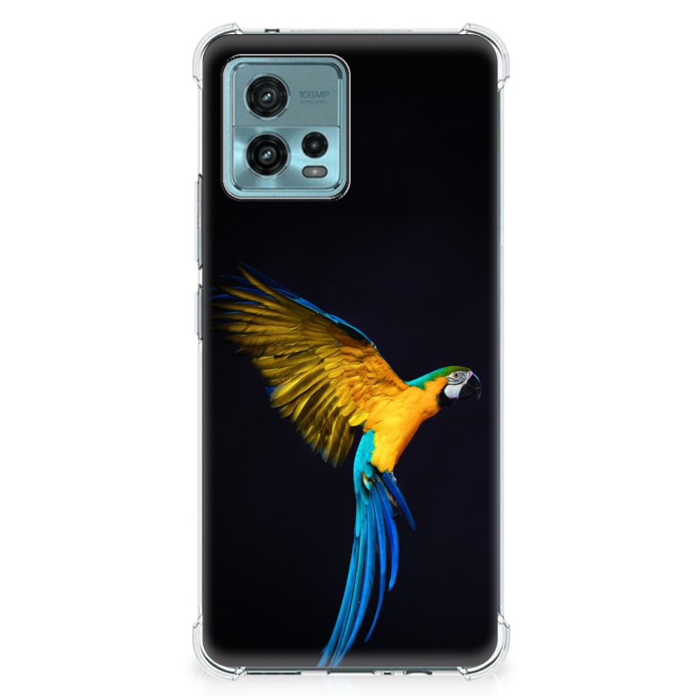 otorola Moto G72 Case Anti-shock Papegaai B2C Telecom