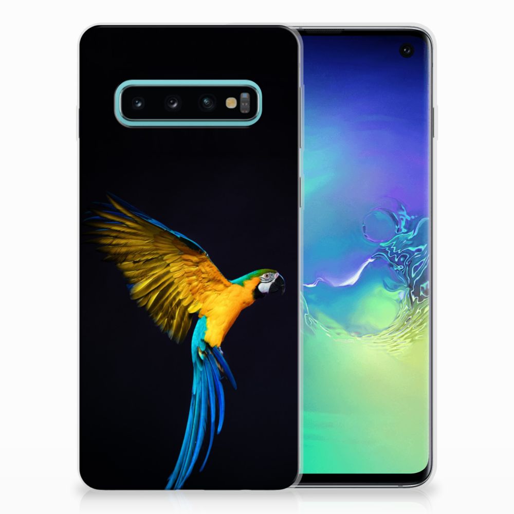 Samsung Galaxy S10 TPU Hoesje Papegaai
