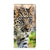 Samsung Galaxy S20 FE Hoesje maken Baby Luipaard - B2C Telecom