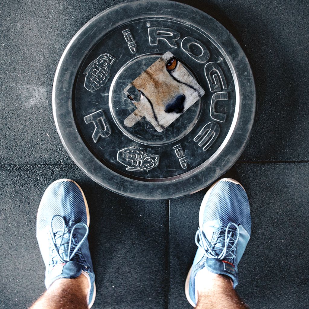 Huawei P40 Telefoonhoesje met Pasjes Cheetah op een halterschijf met sneakers