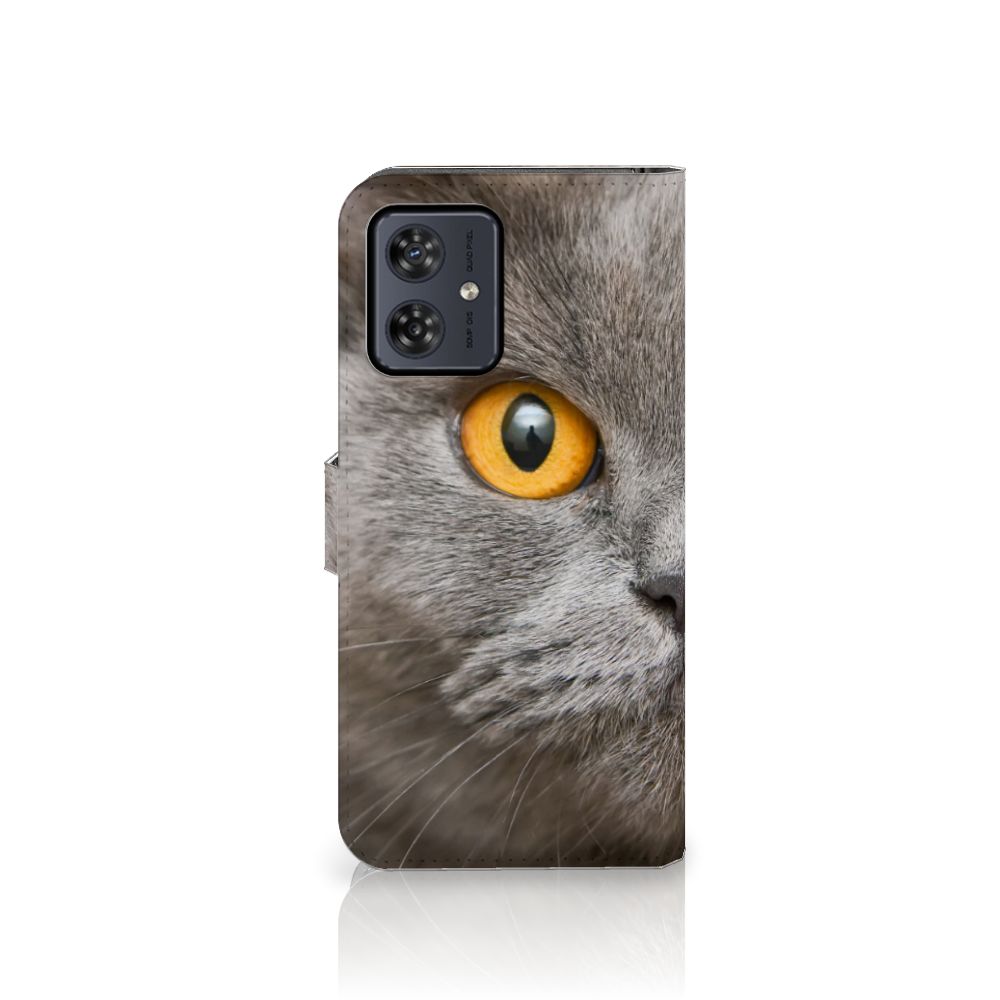 Telefoonhoesje met Pasjes Motorola Moto G54 Britse Korthaar met close-up van een kat met gele ogen.