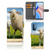OPPO Reno 4 Pro 5G Telefoonhoesje met Pasjes Schaap en Lammetje
