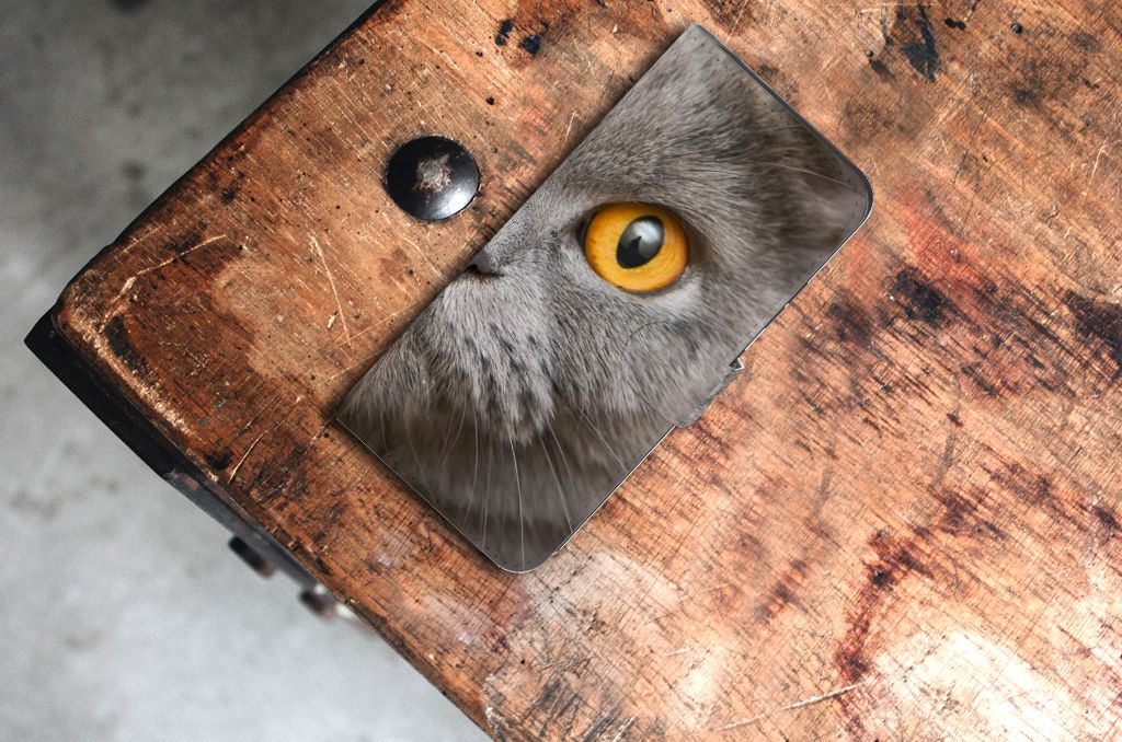 Telefoonhoesje met Pasjes Samsung Galaxy Xcover 7 Britse Korthaar met grijze kat en gele ogen op houten tafel.