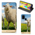 Samsung Galaxy M31 Hoesje maken Schaap en Lammetje - B2C Telecom