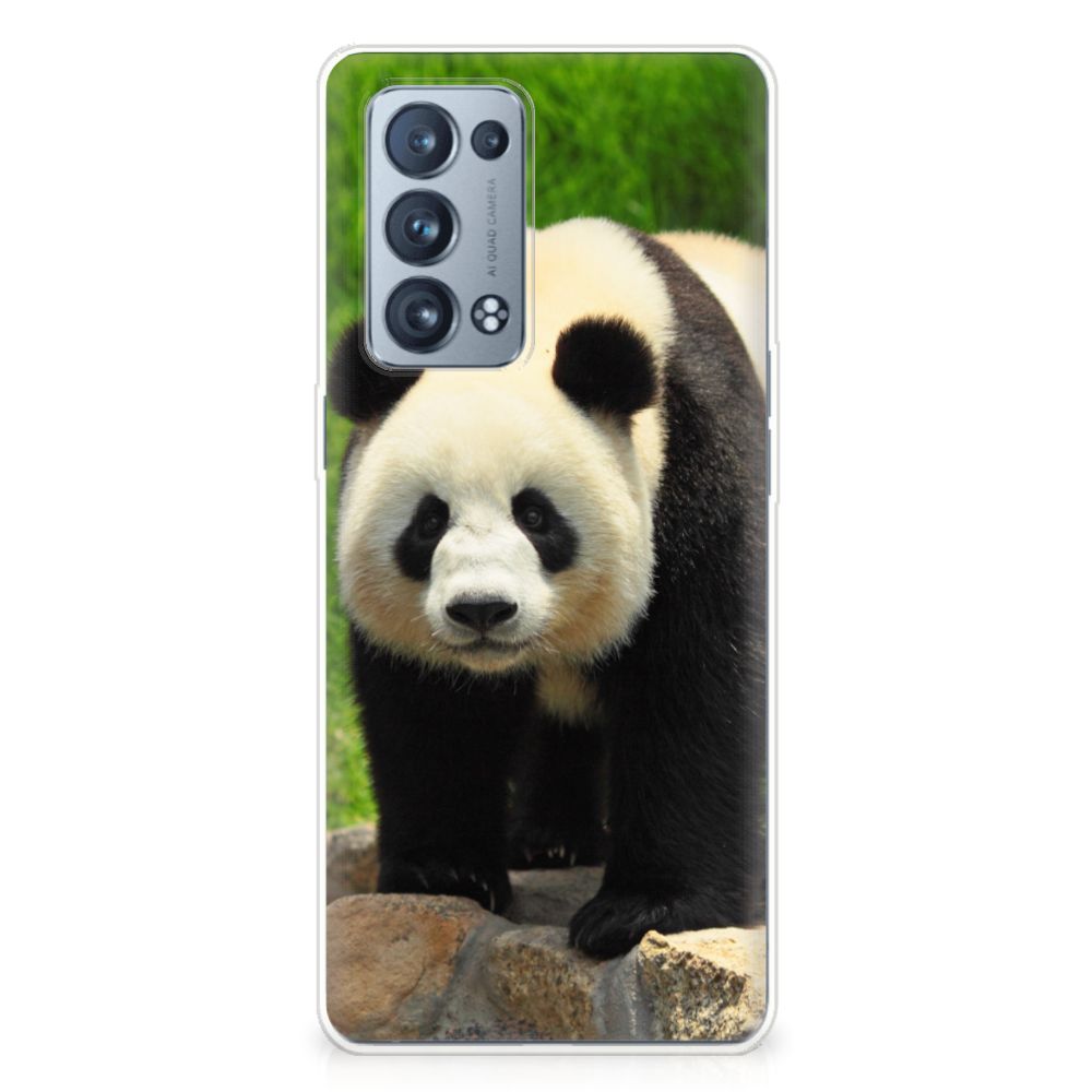 OPPO Reno 6 Pro Plus 5G TPU Hoesje Panda